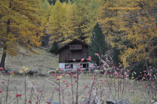 montagna in autunno