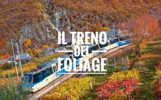 ferrovia centovalli vigezzina