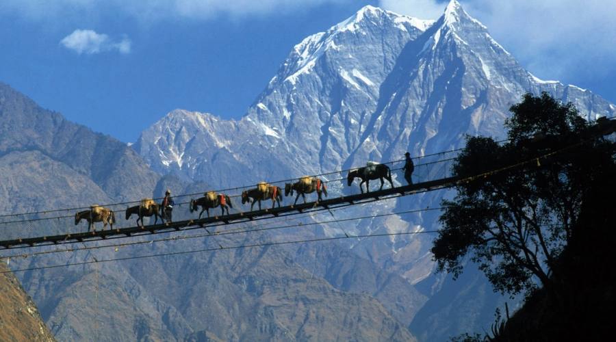 Trekking al campo base dell’Everest: il sogno di tutti i trekker del mondo. Il tour e i prezzi