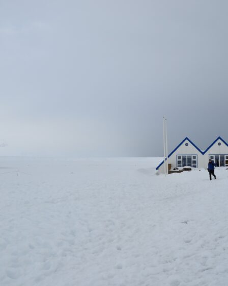 laguna di Jokulsarlon