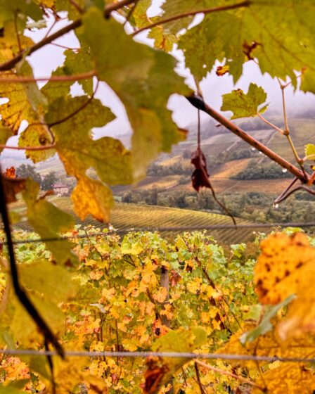 sagre d'autunno