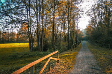 ciclopedonale da Castiglione Olona a Monastero di Torba