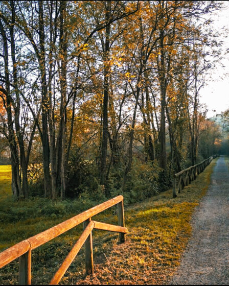 ciclopedonale da Castiglione Olona a Monastero di Torba