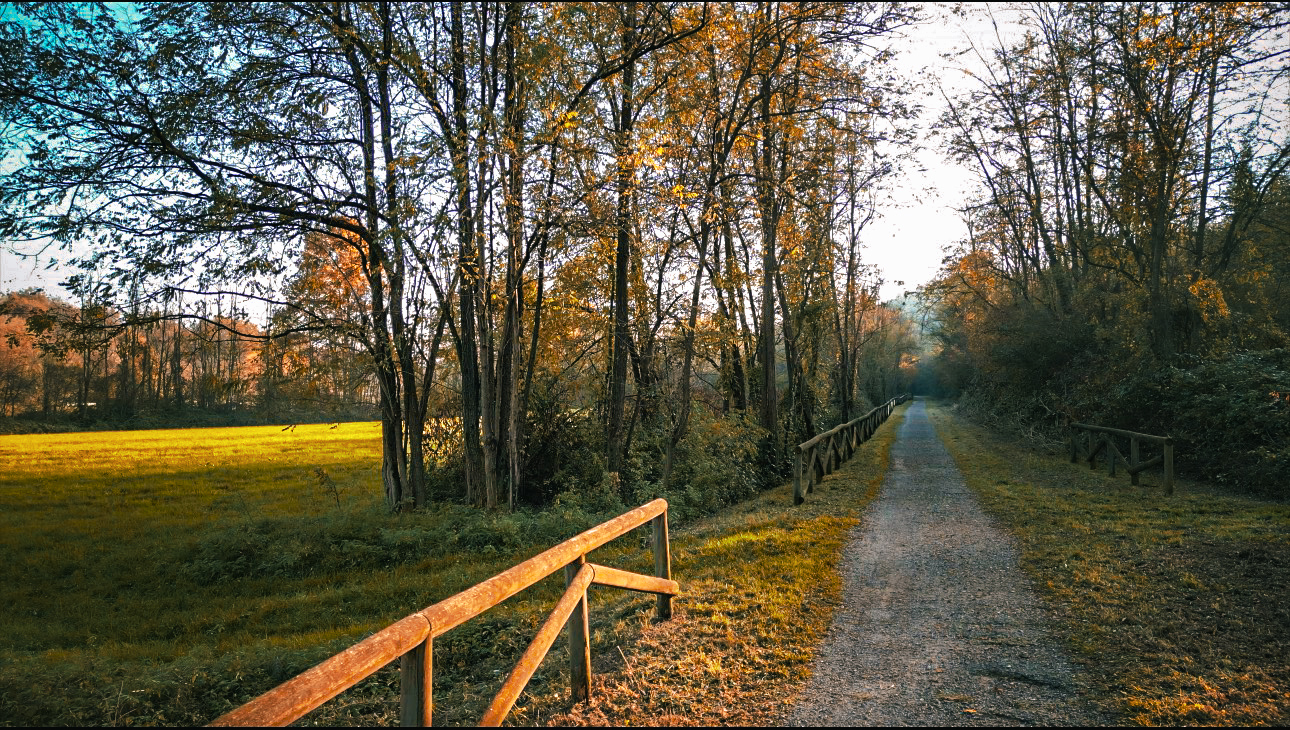ciclopedonale da Castiglione Olona a Monastero di Torba