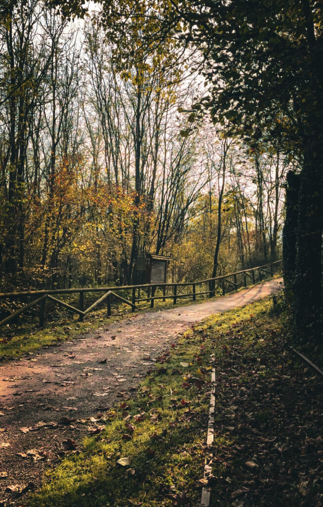 parco Rile Tenore Olona