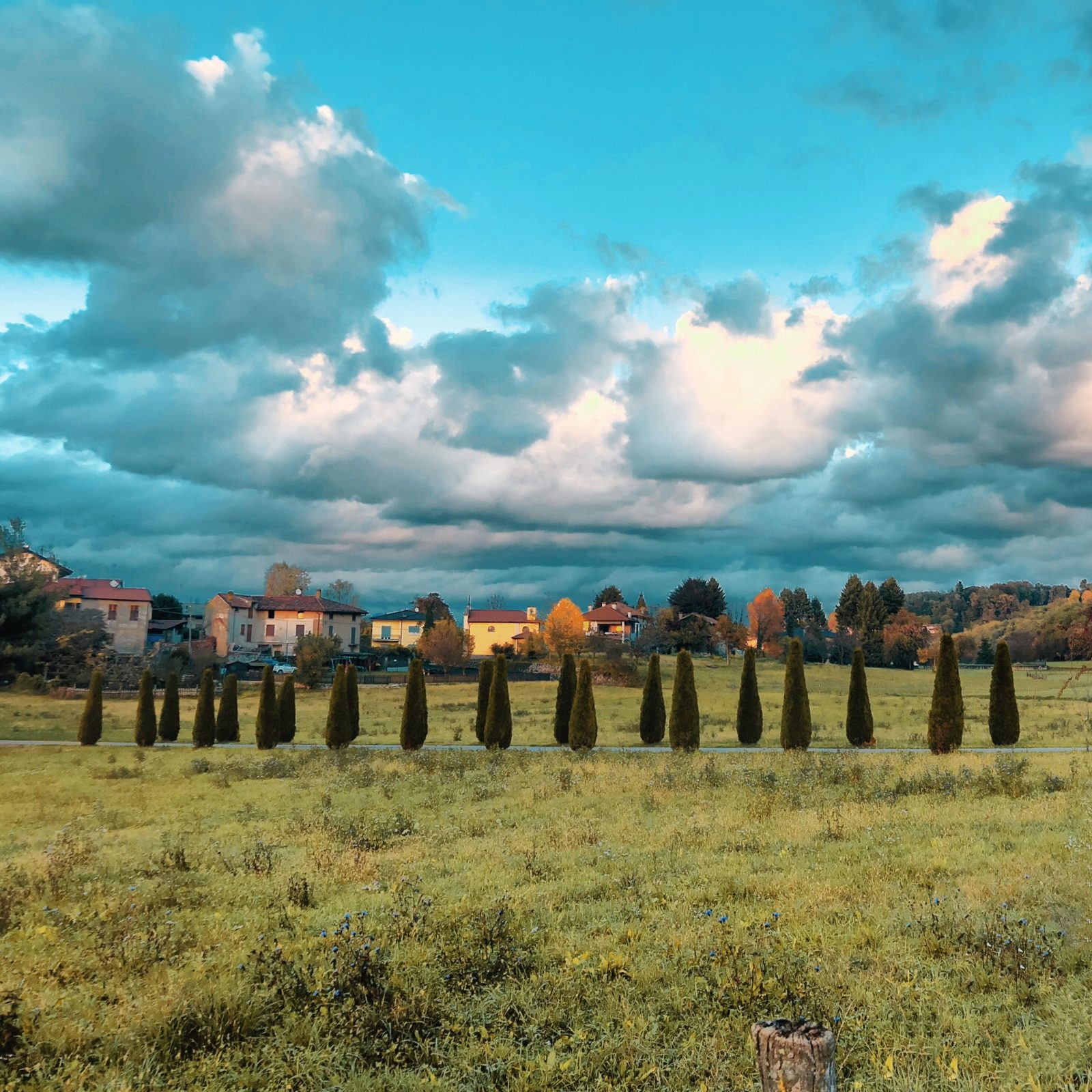 Fila di cipressi in un prato a Vegonno, con le case del borgo e un cielo di nuvole in autunno